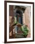 Flowers on Villa Balcony, Venice, Italy-Lisa S^ Engelbrecht-Framed Photographic Print