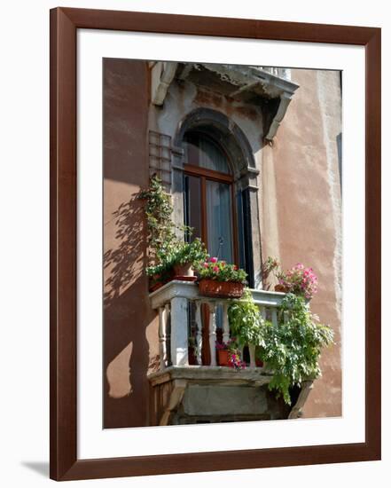 Flowers on Villa Balcony, Venice, Italy-Lisa S^ Engelbrecht-Framed Photographic Print