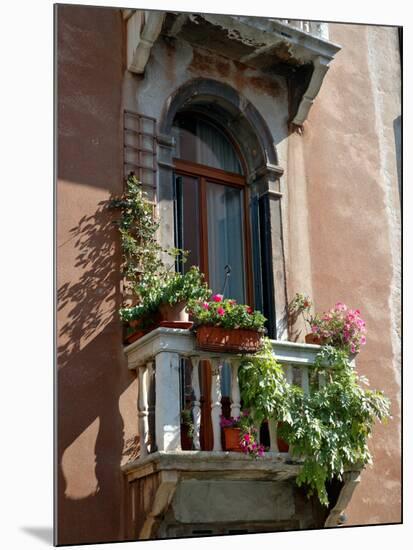 Flowers on Villa Balcony, Venice, Italy-Lisa S^ Engelbrecht-Mounted Photographic Print