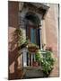 Flowers on Villa Balcony, Venice, Italy-Lisa S^ Engelbrecht-Mounted Photographic Print