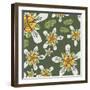 Flowers, Ortiga De Caballo Color-Belen Mena-Framed Giclee Print