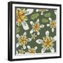 Flowers, Ortiga De Caballo Color-Belen Mena-Framed Giclee Print