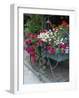 Flowers Outside Cafe, Zermatt, Switzerland-Lisa S. Engelbrecht-Framed Photographic Print