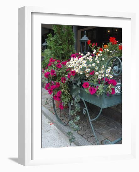 Flowers Outside Cafe, Zermatt, Switzerland-Lisa S. Engelbrecht-Framed Photographic Print