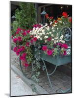 Flowers Outside Cafe, Zermatt, Switzerland-Lisa S. Engelbrecht-Mounted Photographic Print