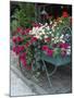 Flowers Outside Cafe, Zermatt, Switzerland-Lisa S. Engelbrecht-Mounted Photographic Print