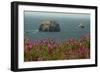 Flowers, Pacific Ocean, Sea Stacks, Oregon Coast, Oregon, USA-Michel Hersen-Framed Photographic Print