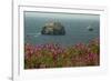 Flowers, Pacific Ocean, Sea Stacks, Oregon Coast, Oregon, USA-Michel Hersen-Framed Photographic Print