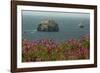 Flowers, Pacific Ocean, Sea Stacks, Oregon Coast, Oregon, USA-Michel Hersen-Framed Photographic Print