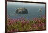 Flowers, Pacific Ocean, Sea Stacks, Oregon Coast, Oregon, USA-Michel Hersen-Framed Photographic Print