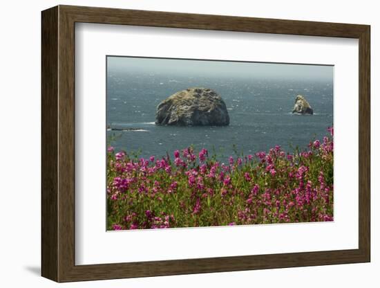 Flowers, Pacific Ocean, Sea Stacks, Oregon Coast, Oregon, USA-Michel Hersen-Framed Photographic Print