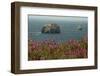 Flowers, Pacific Ocean, Sea Stacks, Oregon Coast, Oregon, USA-Michel Hersen-Framed Photographic Print