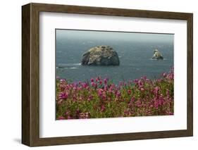 Flowers, Pacific Ocean, Sea Stacks, Oregon Coast, Oregon, USA-Michel Hersen-Framed Photographic Print