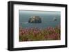 Flowers, Pacific Ocean, Sea Stacks, Oregon Coast, Oregon, USA-Michel Hersen-Framed Photographic Print