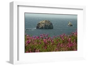 Flowers, Pacific Ocean, Sea Stacks, Oregon Coast, Oregon, USA-Michel Hersen-Framed Photographic Print