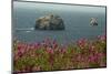 Flowers, Pacific Ocean, Sea Stacks, Oregon Coast, Oregon, USA-Michel Hersen-Mounted Photographic Print