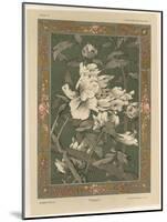 Flowers, Plate 31, Fantaisies Decoratives, Librairie de l'Art, Paris, 1887-Jules Auguste Habert-dys-Mounted Giclee Print
