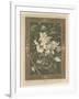 Flowers, Plate 31, Fantaisies Decoratives, Librairie de l'Art, Paris, 1887-Jules Auguste Habert-dys-Framed Giclee Print