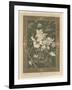 Flowers, Plate 31, Fantaisies Decoratives, Librairie de l'Art, Paris, 1887-Jules Auguste Habert-dys-Framed Giclee Print