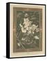 Flowers, Plate 31, Fantaisies Decoratives, Librairie de l'Art, Paris, 1887-Jules Auguste Habert-dys-Framed Stretched Canvas