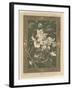 Flowers, Plate 31, Fantaisies Decoratives, Librairie de l'Art, Paris, 1887-Jules Auguste Habert-dys-Framed Giclee Print