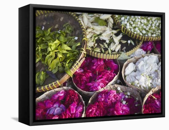 Flowers Prepared for Offerings, Yogyakarta, Java, Indonesia-Ian Trower-Framed Stretched Canvas