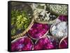 Flowers Prepared for Offerings, Yogyakarta, Java, Indonesia-Ian Trower-Framed Stretched Canvas