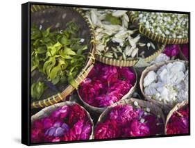 Flowers Prepared for Offerings, Yogyakarta, Java, Indonesia-Ian Trower-Framed Stretched Canvas