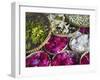 Flowers Prepared for Offerings, Yogyakarta, Java, Indonesia-Ian Trower-Framed Premium Photographic Print