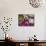 Flowers Prepared for Offerings, Yogyakarta, Java, Indonesia-Ian Trower-Photographic Print displayed on a wall