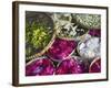 Flowers Prepared for Offerings, Yogyakarta, Java, Indonesia-Ian Trower-Framed Photographic Print