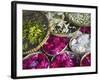 Flowers Prepared for Offerings, Yogyakarta, Java, Indonesia-Ian Trower-Framed Photographic Print