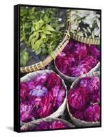 Flowers Prepared for Offerings, Yogyakarta, Java, Indonesia-Ian Trower-Framed Stretched Canvas