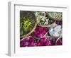 Flowers Prepared for Offerings, Yogyakarta, Java, Indonesia-Ian Trower-Framed Photographic Print