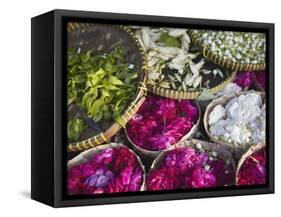 Flowers Prepared for Offerings, Yogyakarta, Java, Indonesia-Ian Trower-Framed Stretched Canvas