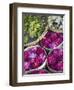 Flowers Prepared for Offerings, Yogyakarta, Java, Indonesia-Ian Trower-Framed Photographic Print