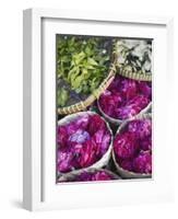 Flowers Prepared for Offerings, Yogyakarta, Java, Indonesia-Ian Trower-Framed Photographic Print