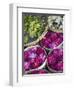 Flowers Prepared for Offerings, Yogyakarta, Java, Indonesia-Ian Trower-Framed Photographic Print