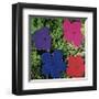 Flowers (Purple, Blue, Pink, Red)-Andy Warhol-Framed Giclee Print