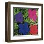 Flowers (Purple, Blue, Pink, Red)-Andy Warhol-Framed Giclee Print