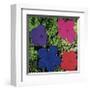 Flowers (Purple, Blue, Pink, Red)-Andy Warhol-Framed Giclee Print