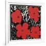 Flowers (Red), 1964-Andy Warhol-Framed Art Print