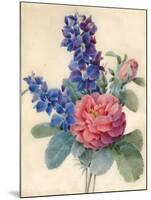 Flowers, Roses and Larkspur-Camile de Chanteraine-Mounted Giclee Print