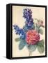 Flowers, Roses and Larkspur-Camile de Chanteraine-Framed Stretched Canvas