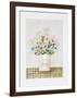 Flowers Rue Jacob-Mary Faulconer-Framed Limited Edition