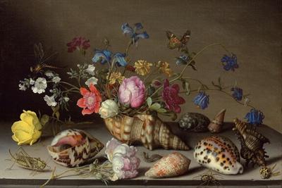 https://imgc.allpostersimages.com/img/posters/flowers-shells-and-insects-on-a-stone-ledge_u-L-Q1HJF6U0.jpg?artPerspective=n