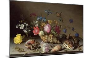 Flowers, Shells and Insects on a Stone Ledge-Balthasar van der Ast-Mounted Giclee Print