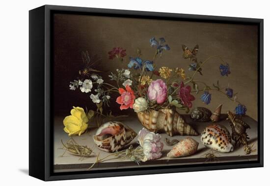 Flowers, Shells and Insects on a Stone Ledge-Balthasar van der Ast-Framed Stretched Canvas