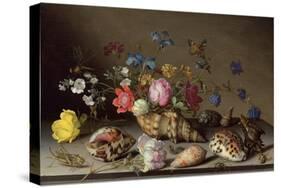 Flowers, Shells and Insects on a Stone Ledge-Balthasar van der Ast-Stretched Canvas