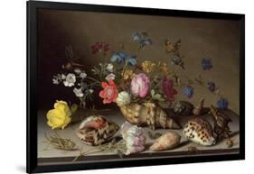 Flowers, Shells and Insects on a Stone Ledge-Balthasar van der Ast-Framed Giclee Print